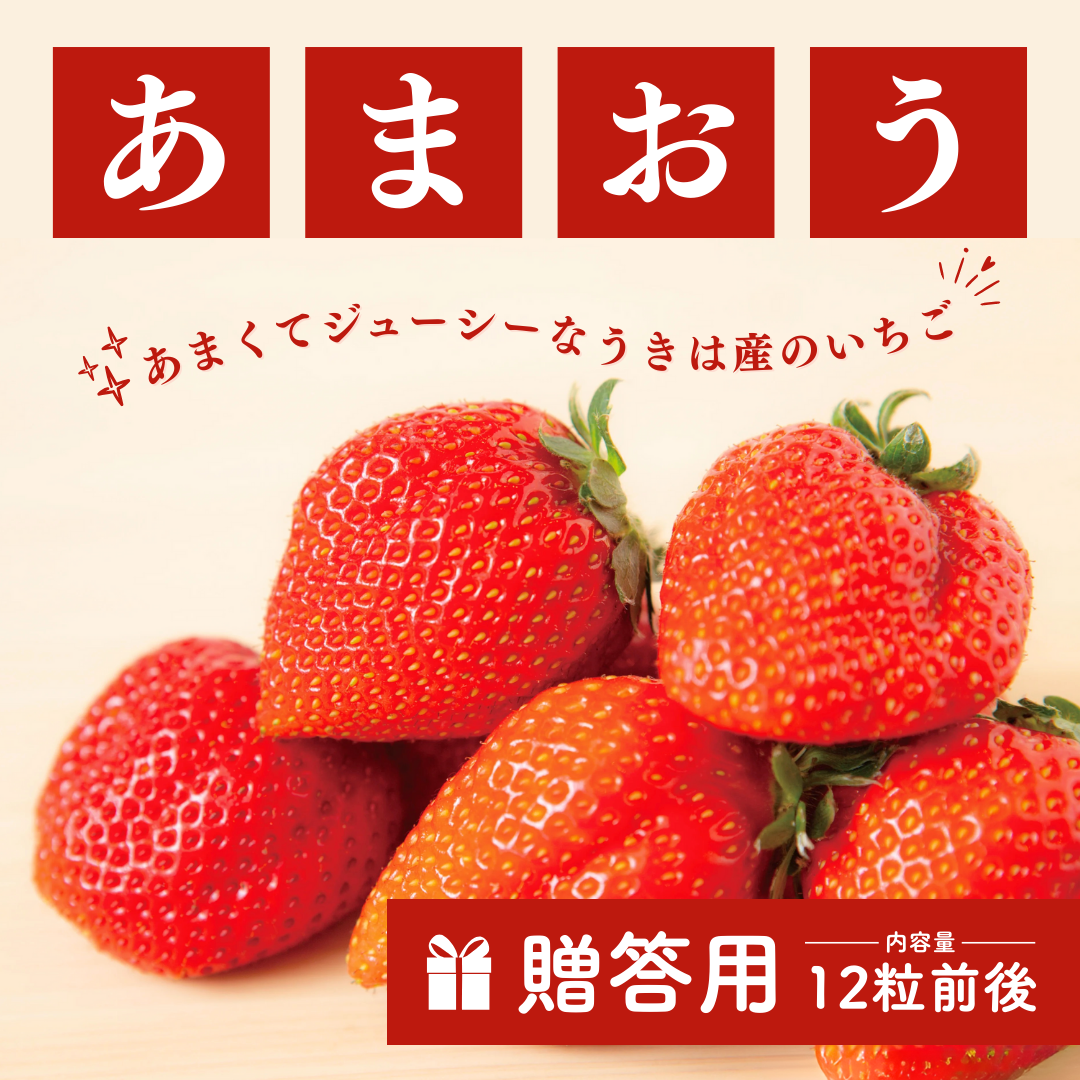 うきはのあまおういちご_12粒_贈答用
