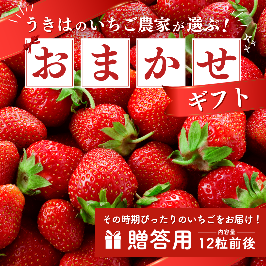 いちご農家『おまかせ』ギフト_12粒前後