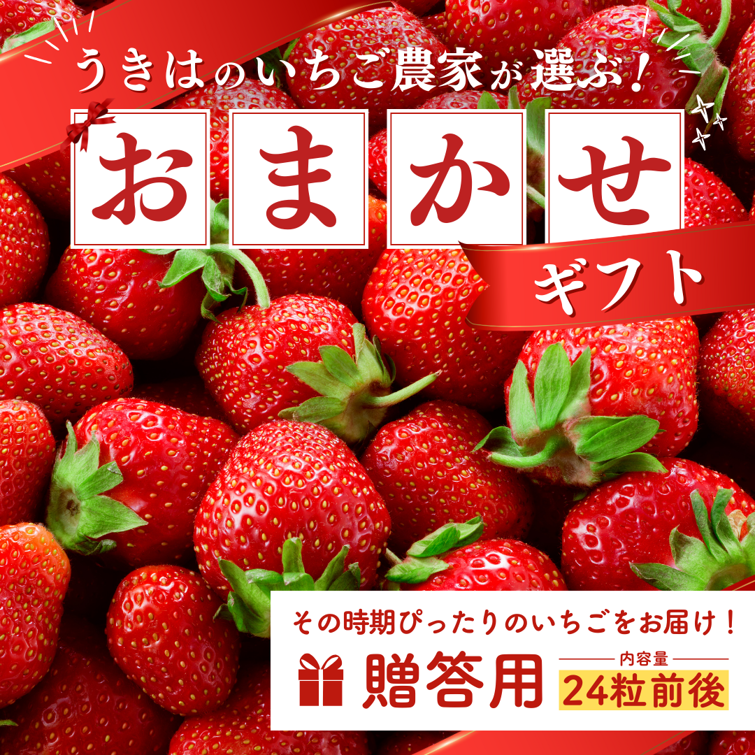 いちご農家『おまかせ』ギフト_24粒前後