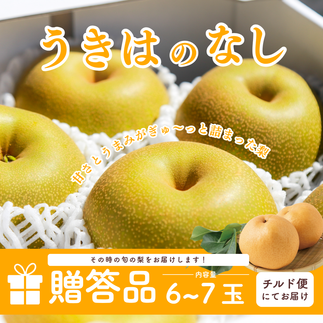 うきはのなし（6～7玉）【贈答用】