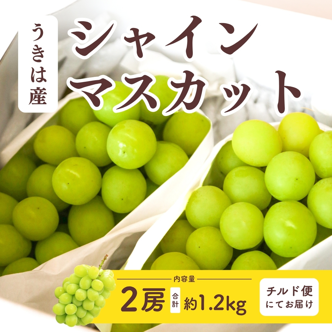 うきはのシャインマスカット【２房】