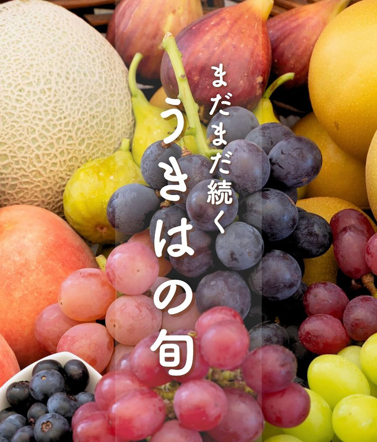 8月9月のフルーツ