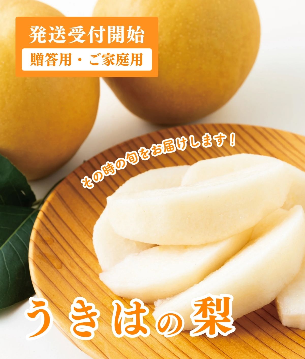 top_nashi_sp