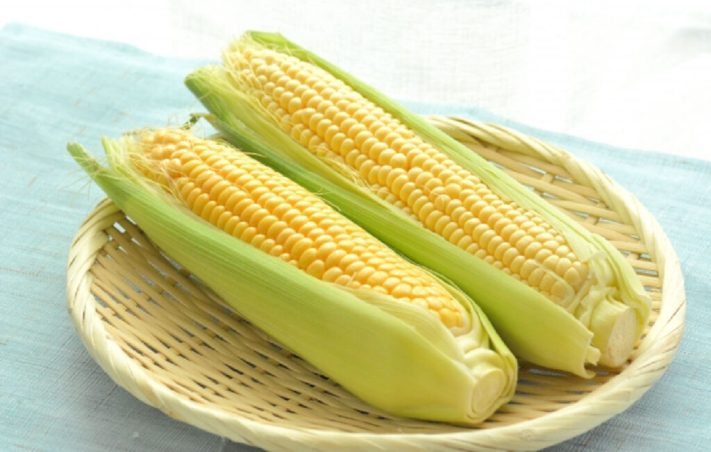 とうもろこし