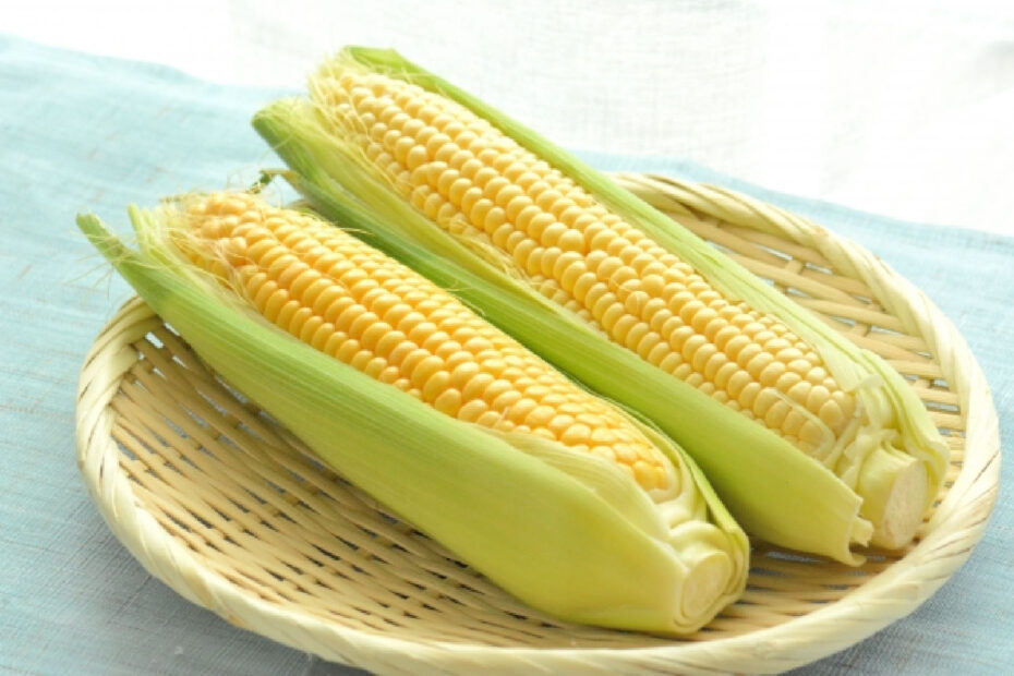 とうもろこし