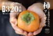 柿プレゼント✨先着320名様【10月25日】